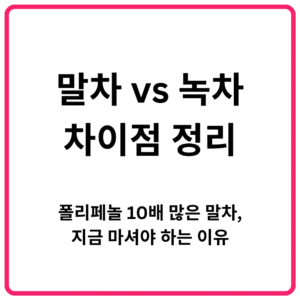 말차 vs 녹차 차이점 정리 폴리페놀 10배 많은 말차 지금 마셔야 하는 이유