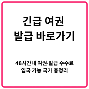 긴급 여권 발급 바로가기 48시간내 여권·발급 수수료·입국 가능 국가 총정리
