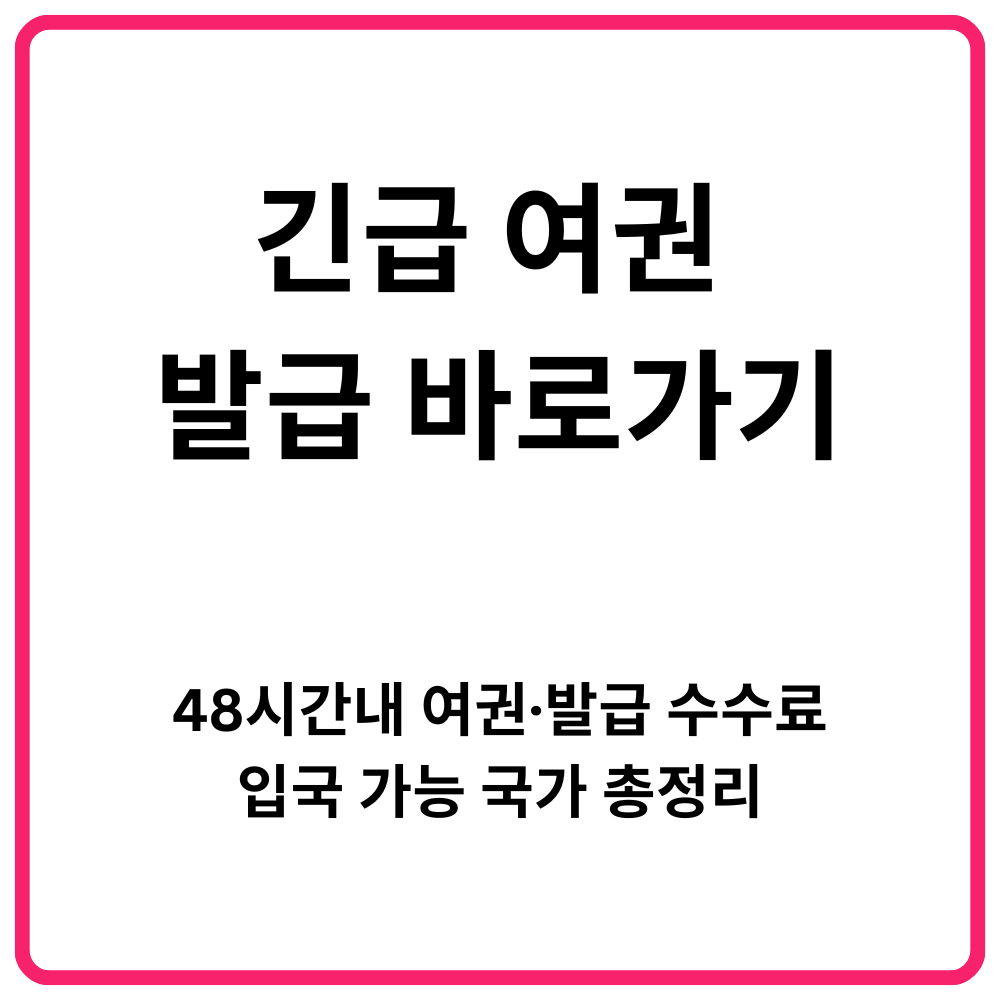 긴급 여권 발급 바로가기 48시간내 여권·발급 수수료·입국 가능 국가 총정리