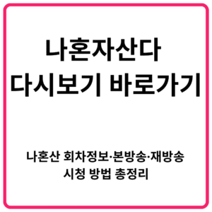 나혼자산다 다시보기 바로가기 나혼산 회차정보·본방송·재방송 시청 방법 총정리